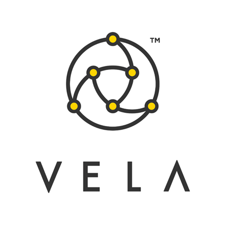 EDI Partners Page - VELA