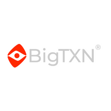 EDI Partners - BigTXN